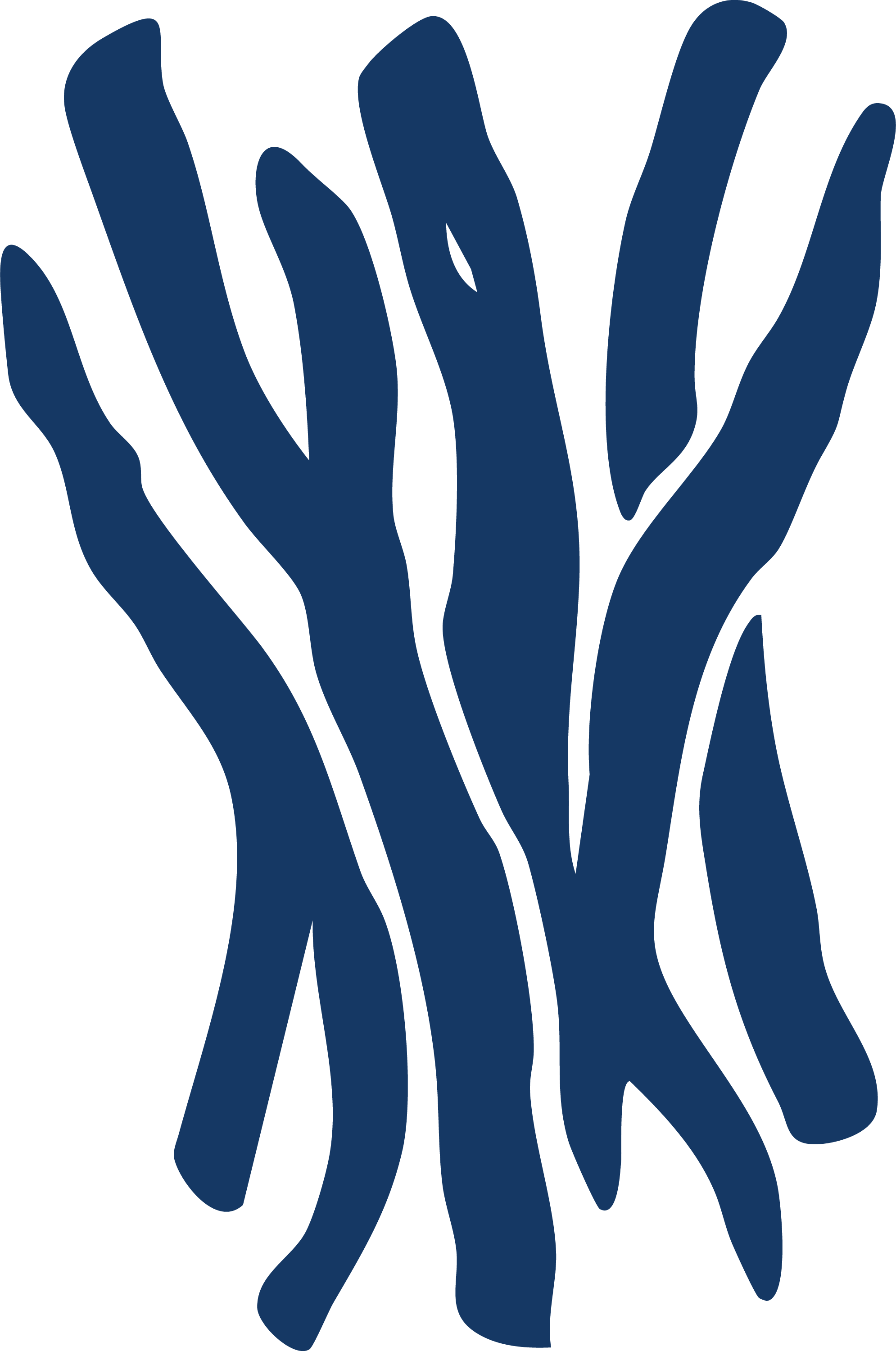 The Science Behind Ashwagandha: The Stress-Relieving Powerhouse in Hoola