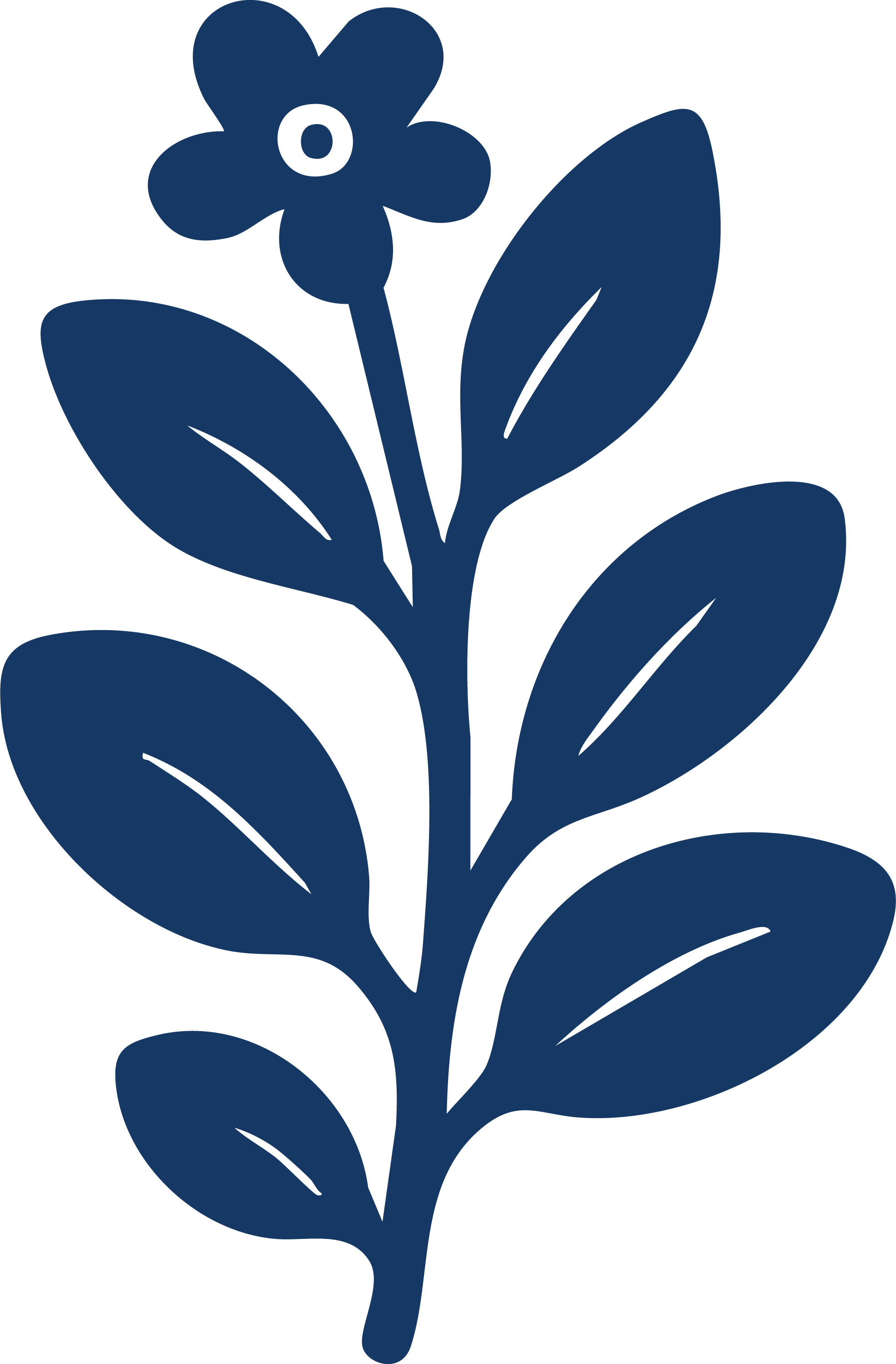 BacoMind®: The Brain Boosting Botanical With Serious Backing