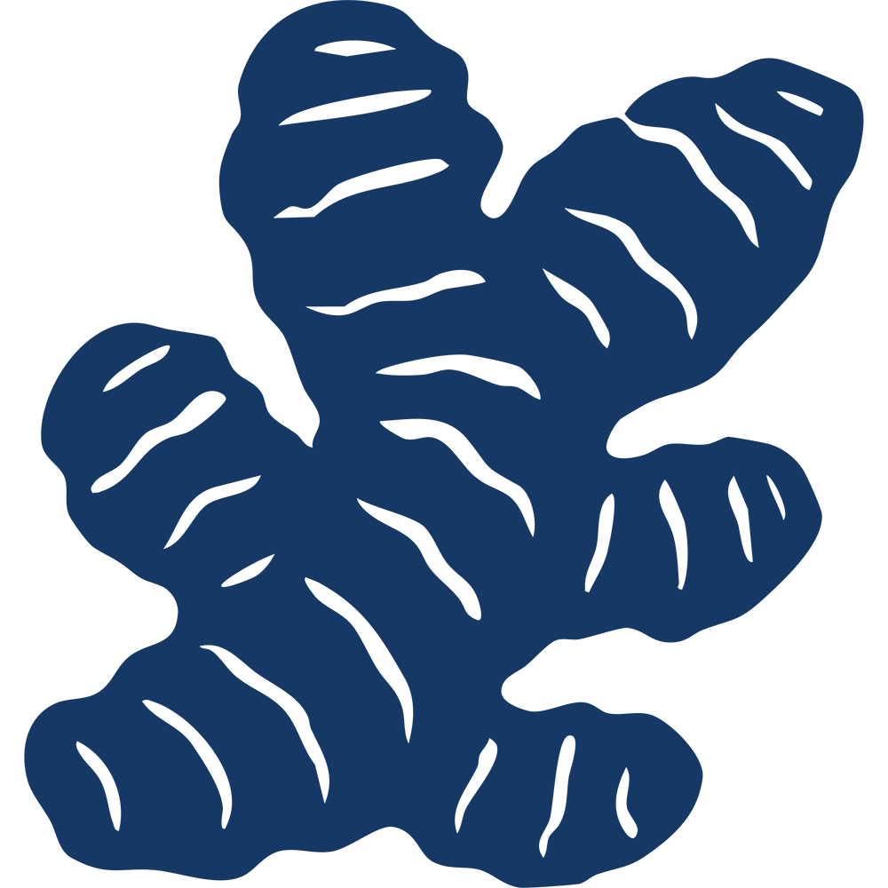 enXtra® - The plant with performance pedigree